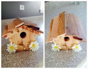 Bird House Made from Wood Designs
