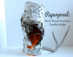 Unique Style of Decoration with DIY Recycles Birch Piece Candle Holder