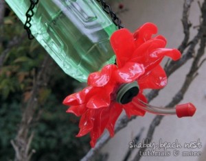 Recycled Bottle Birds Feeder
