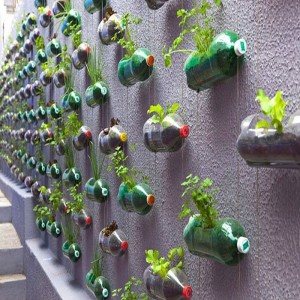 Recycled Plastic Bottles