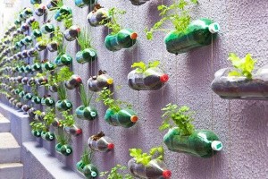 Recycle Plastic Bottles Gardening Idea