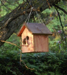 Pallet Birdhouse