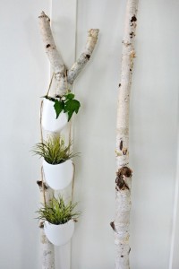 Recycled Plastic Bottles Planter Hanging