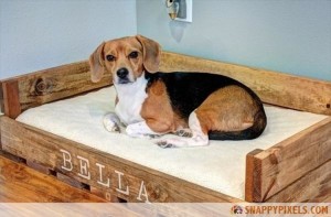 Pallet Dog Bed