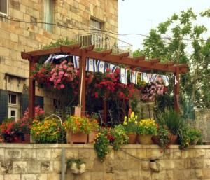 Pergola Flowers Decor