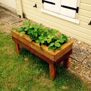 Cute Pallet Planter Box