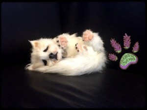 Handmade Animal Made from Recycled Clothing