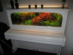 Recycled Piano Aquarium