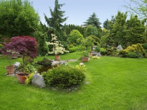 Beautiful Garden Landscaping