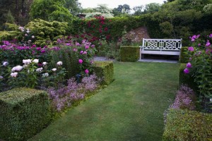 Garden Landscape Ideas