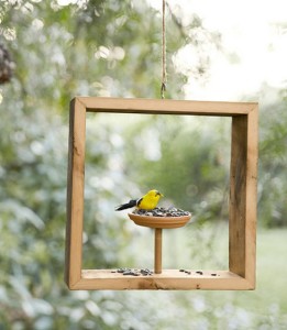Box Bird Feeder
