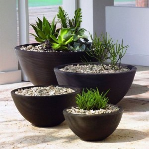 Garden Decor with Planters