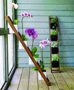 Hanging Plant Projects