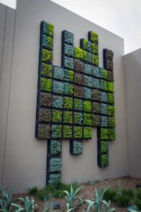 Wall Decor with Plants