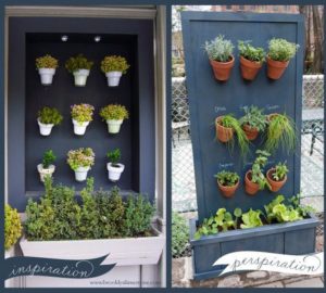 Creative Ways to Plant a Vertical Garden For Your Home