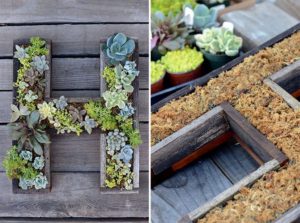 Succulent Letter DIY