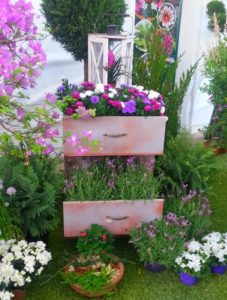 Old Chest of Drawers Cute Garden Planter