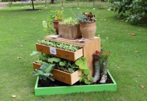 Creative Ways to Turn Old Drawers into Planters
