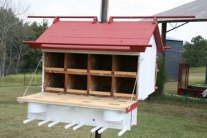 Creative Birdhouse
