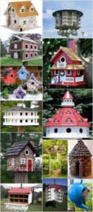 DIY Bird House Projects that Will Attract Them to Your Garden