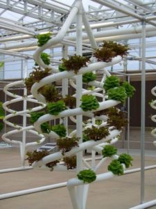 Vertical Garden Idea for Home Decor