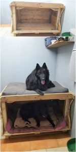 Pallet Dog House